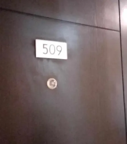 Avida Riala T2 509/cebu It Park Apartment *