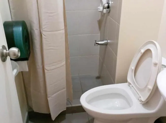 Avida Riala T2 509/cebu It Park Apartment Cebu