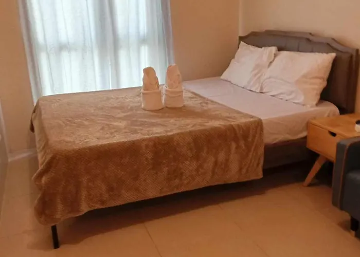 Avida Riala T2 509/cebu It Park Apartment Cebu